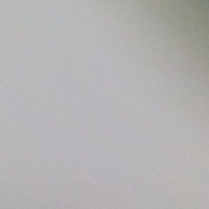 Meet your Posher, Abigail